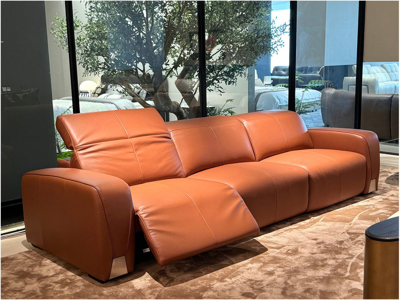 Living Room 15